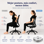 Seente™ Cojín Ortopédico